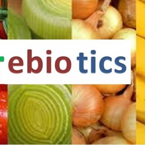 Prebiotic là gì? 18 thực phẩm chứa nhiều prebiotic.